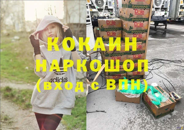 гидра Алексеевка