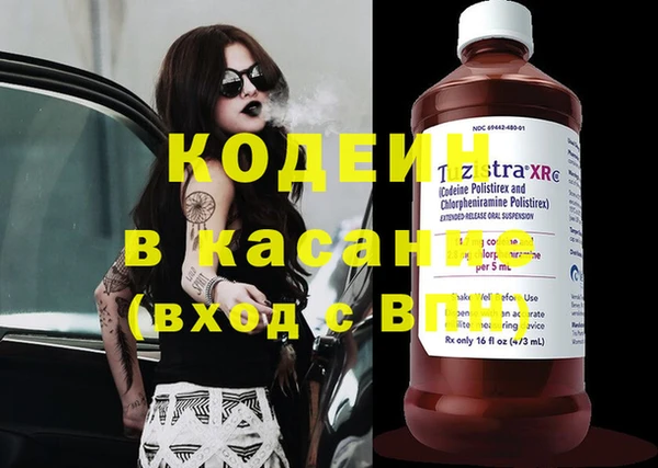 мяу мяу мука Арсеньев